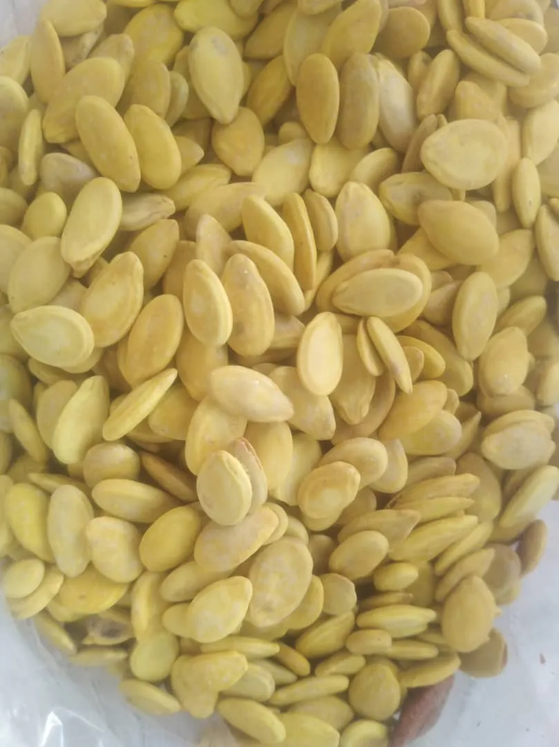 بذر العشاق