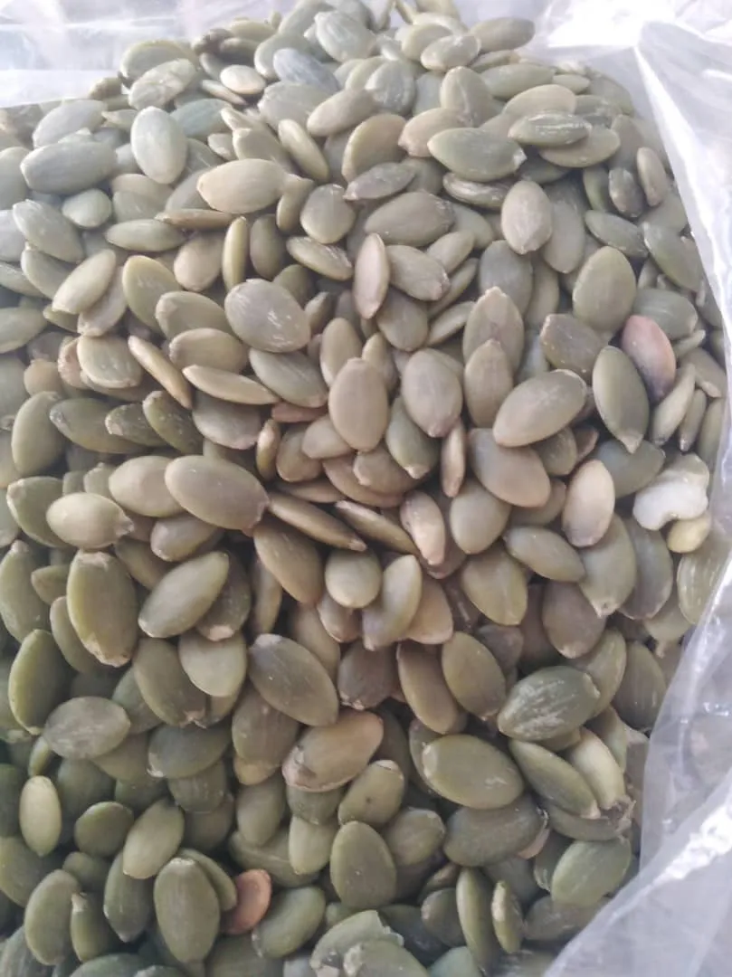 لب القرع