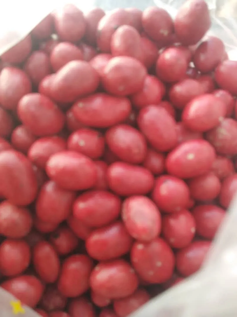 فستق ملبس احمر