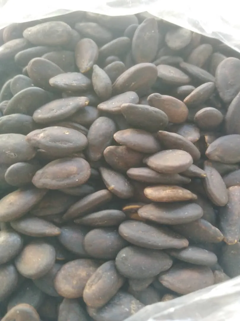 بزر افغاني