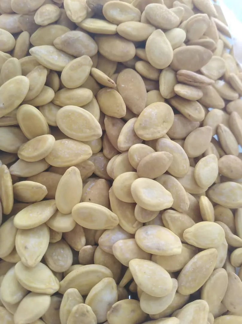 بزر اصفر العشاق
