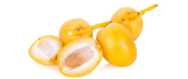 بلح