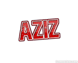 Aziz Food store